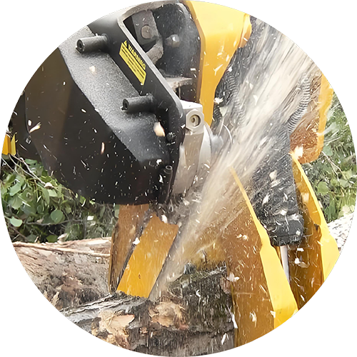 Parker F11 Piston Quantitative Motor